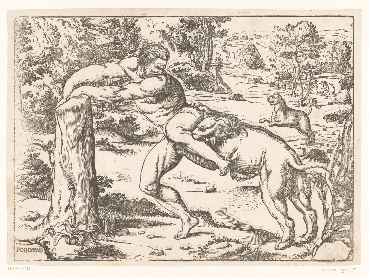 Milo di Crotone attaccato da un leone da Nicolò Boldrini (attributed to)