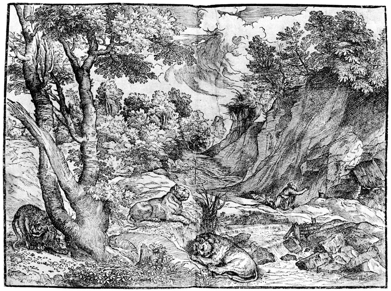 Grande paesaggio con San Girolamo da Nicolò Boldrini