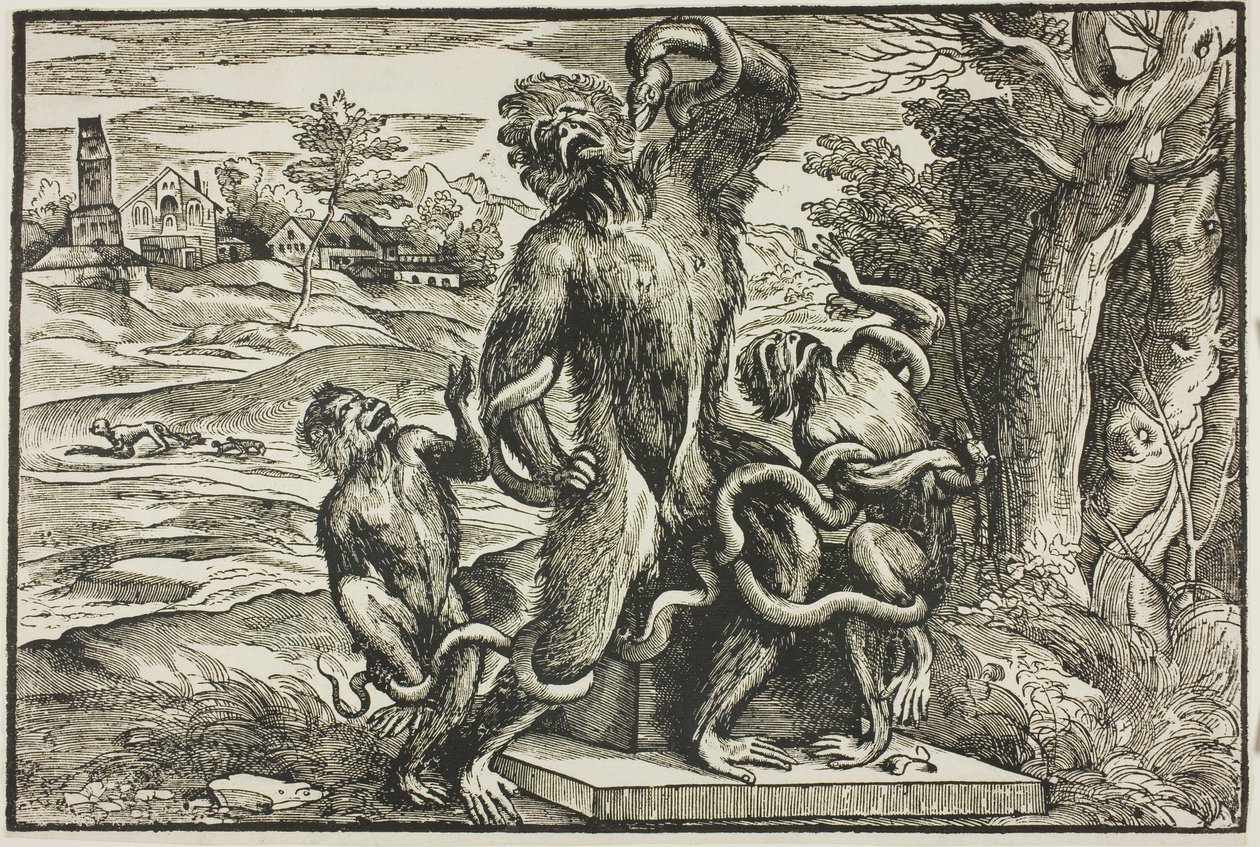 Laocoonte da Nicolò Boldrini