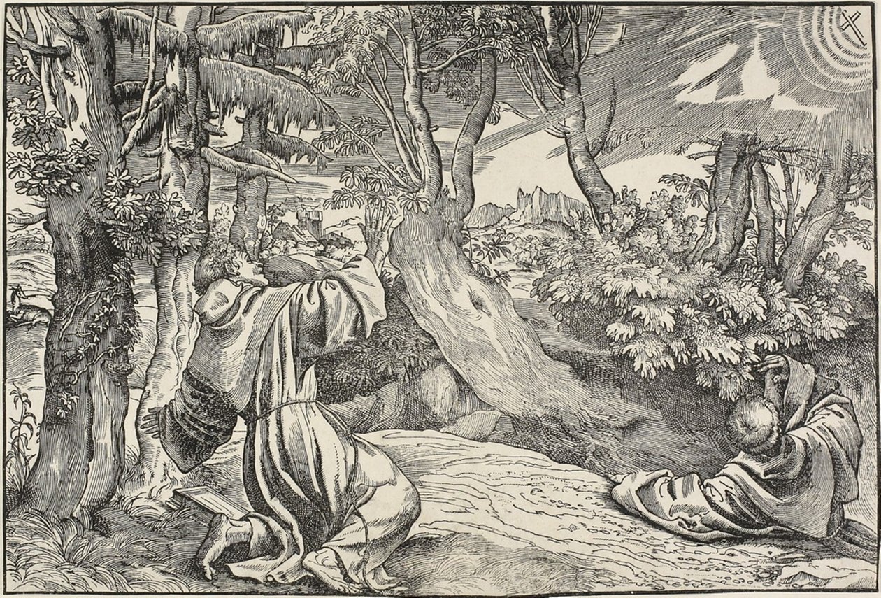 San Francesco riceve le stimmate da Nicolò Boldrini