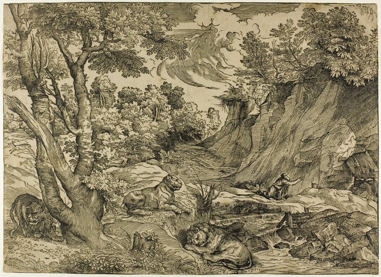 San Girolamo nel deserto da Nicolò Boldrini