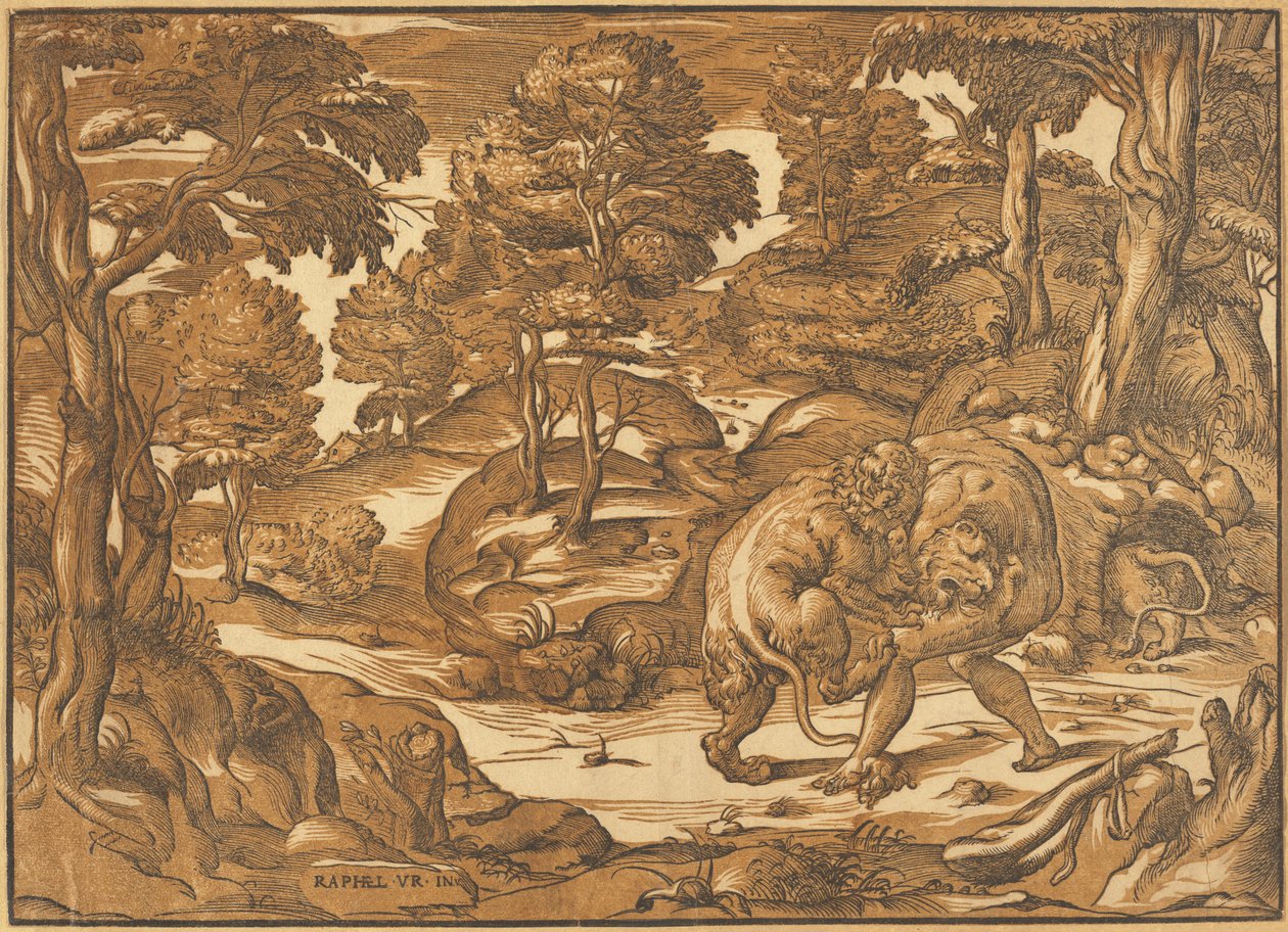 Ercole e il leone di Nemea da Nicolò Boldrini, after Raphael