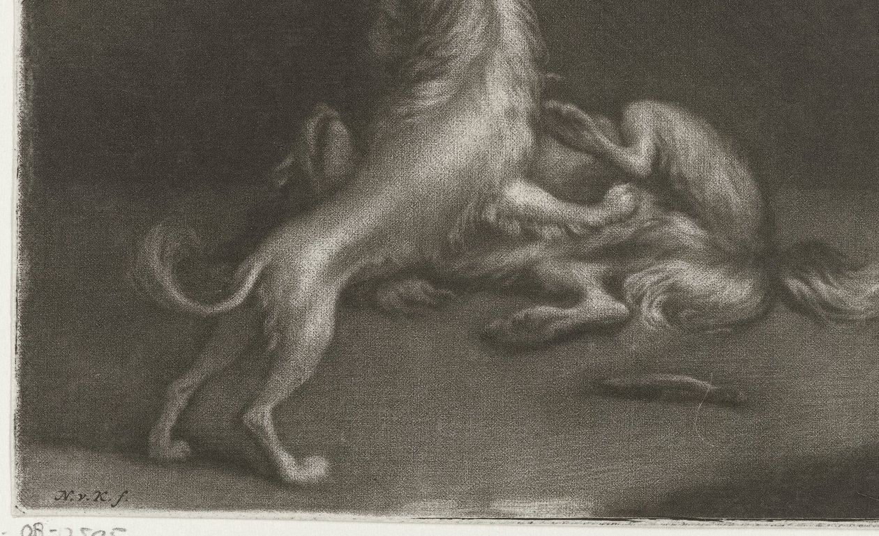 Due cani che giocano da Nicolaas Verkolje