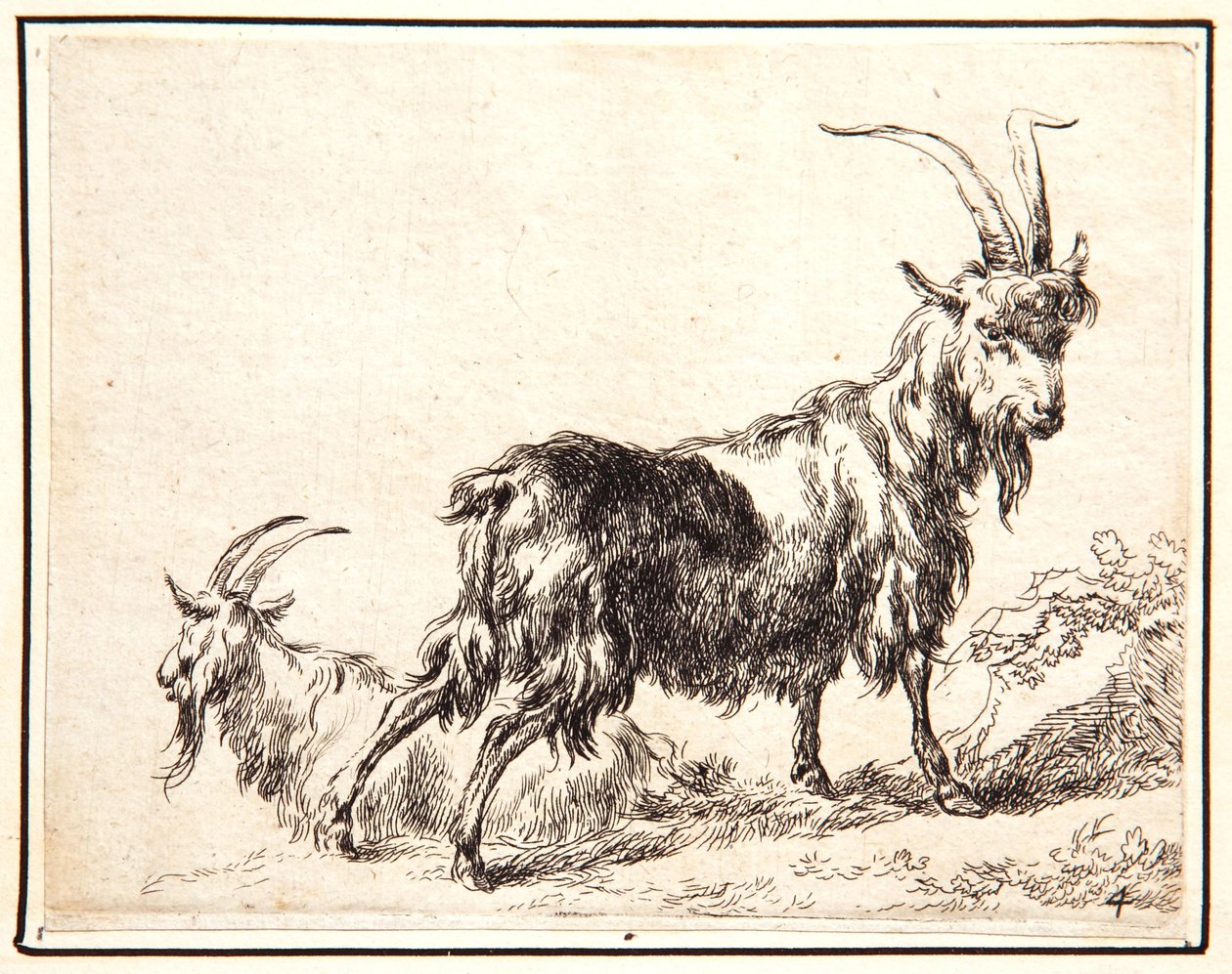 Capre da Nicolaes Pietersz. Berchem