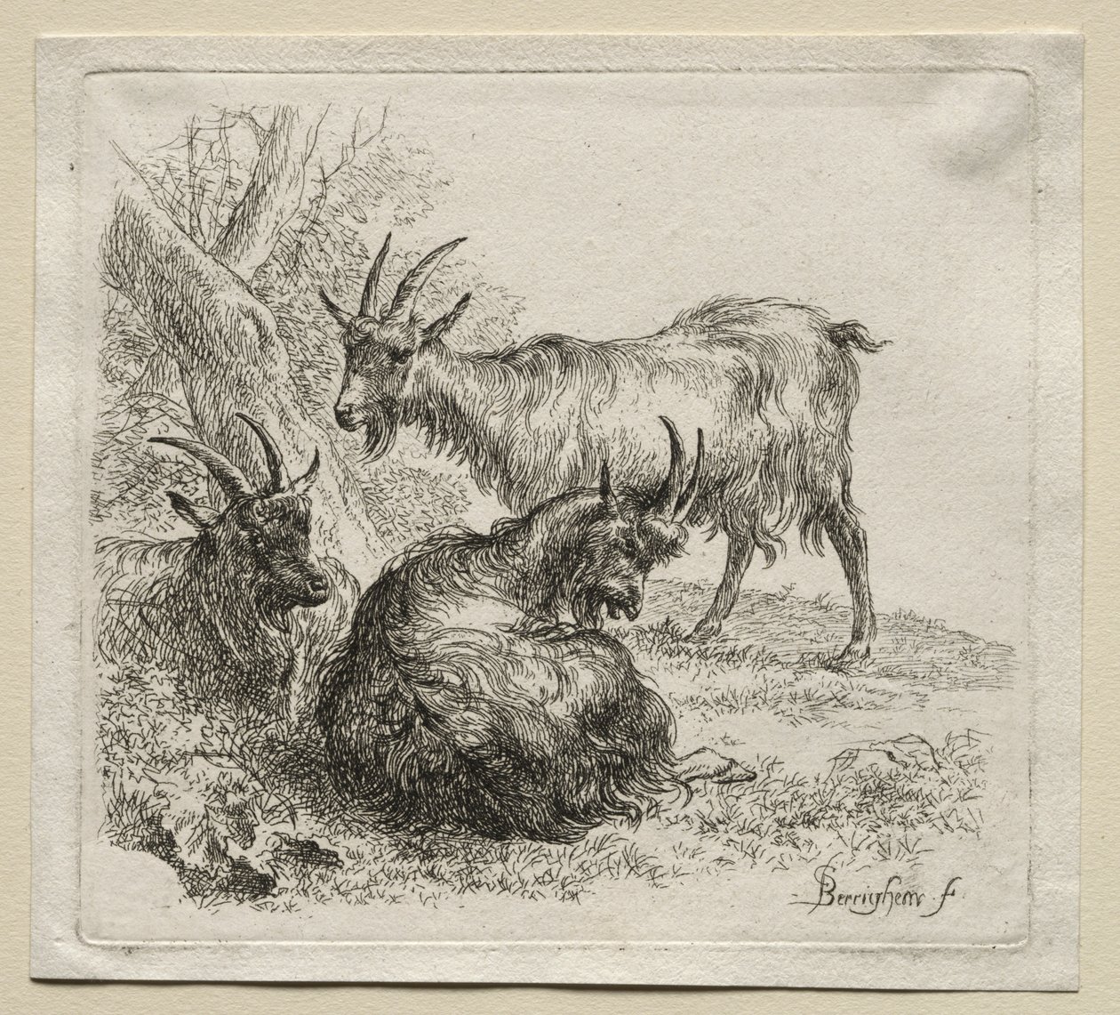 Animalia: Tre capre da Nicolaes Berchem