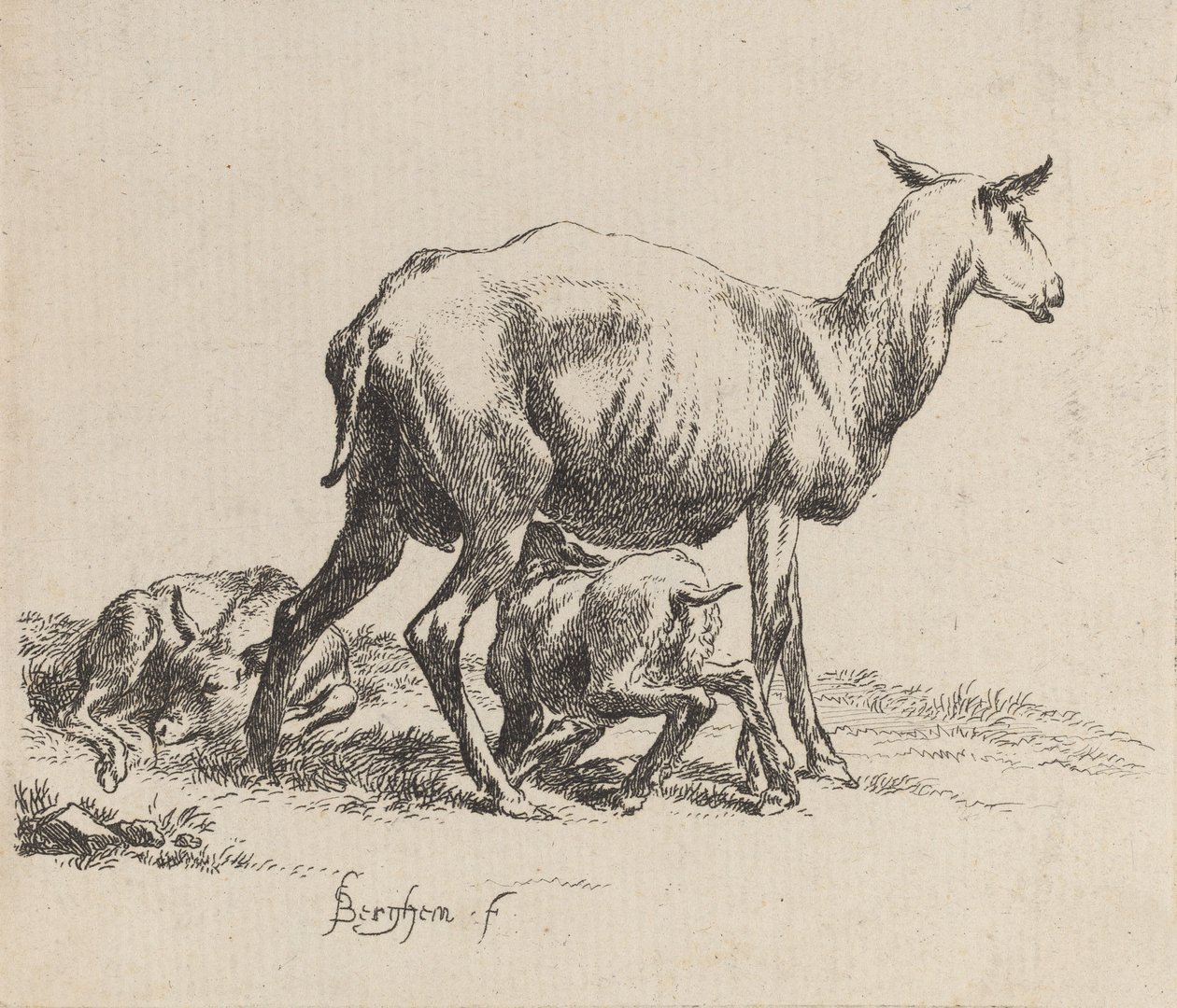 Pecora che allatta il suo agnello da Nicolaes Berchem