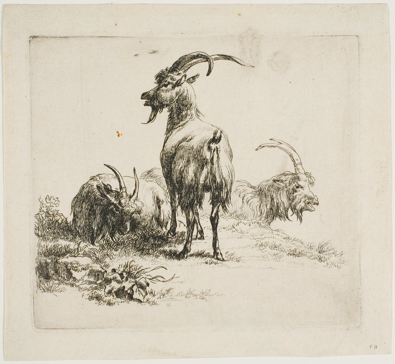 Capre, da Vari Animali da Nicolaes Berchem