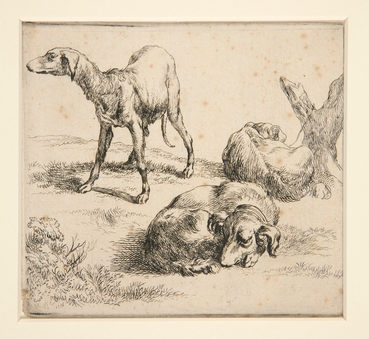 Tre Cani da Caccia da Nicolaes Berchem