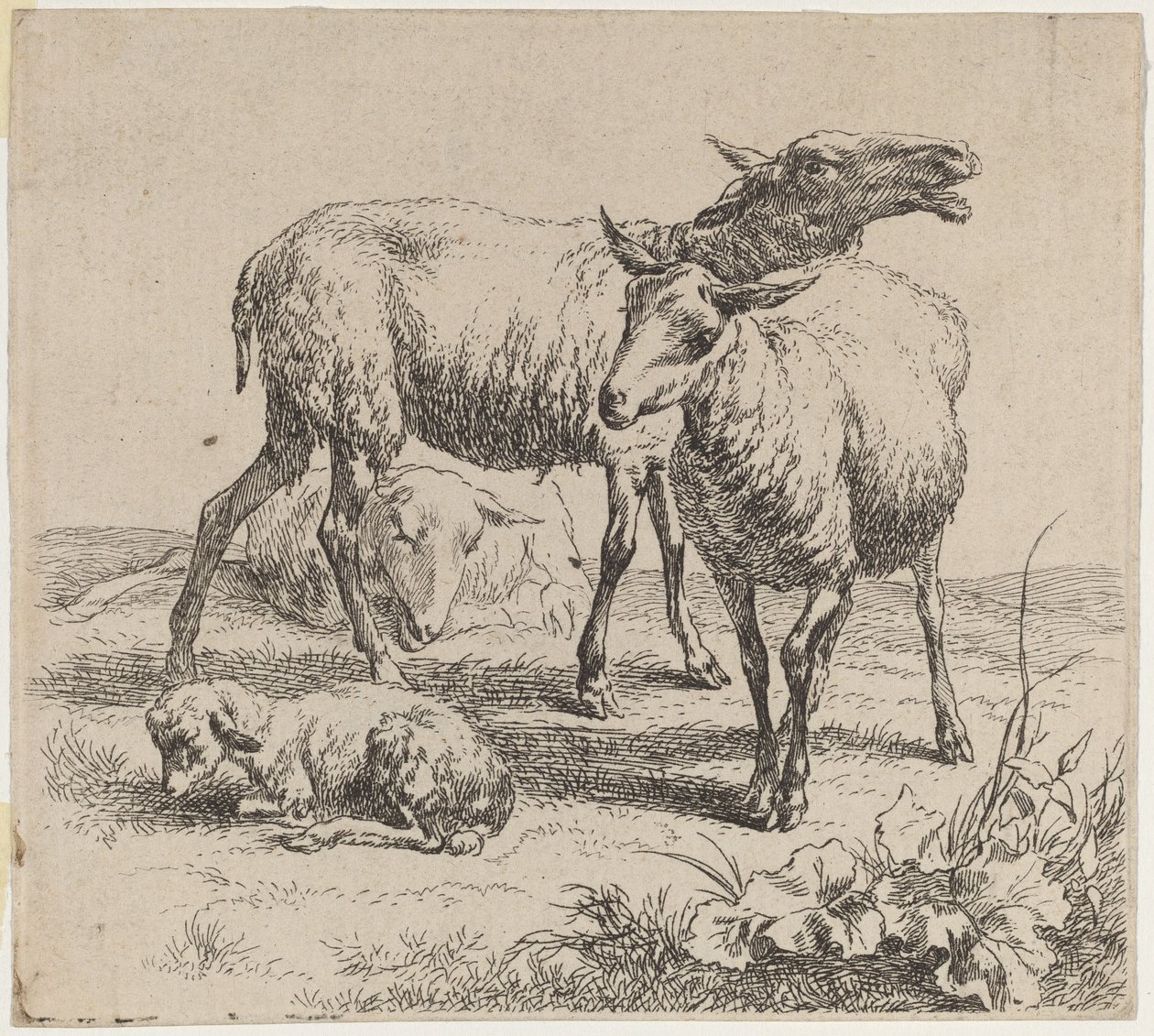 Tre pecore e un agnello da Nicolaes Berchem