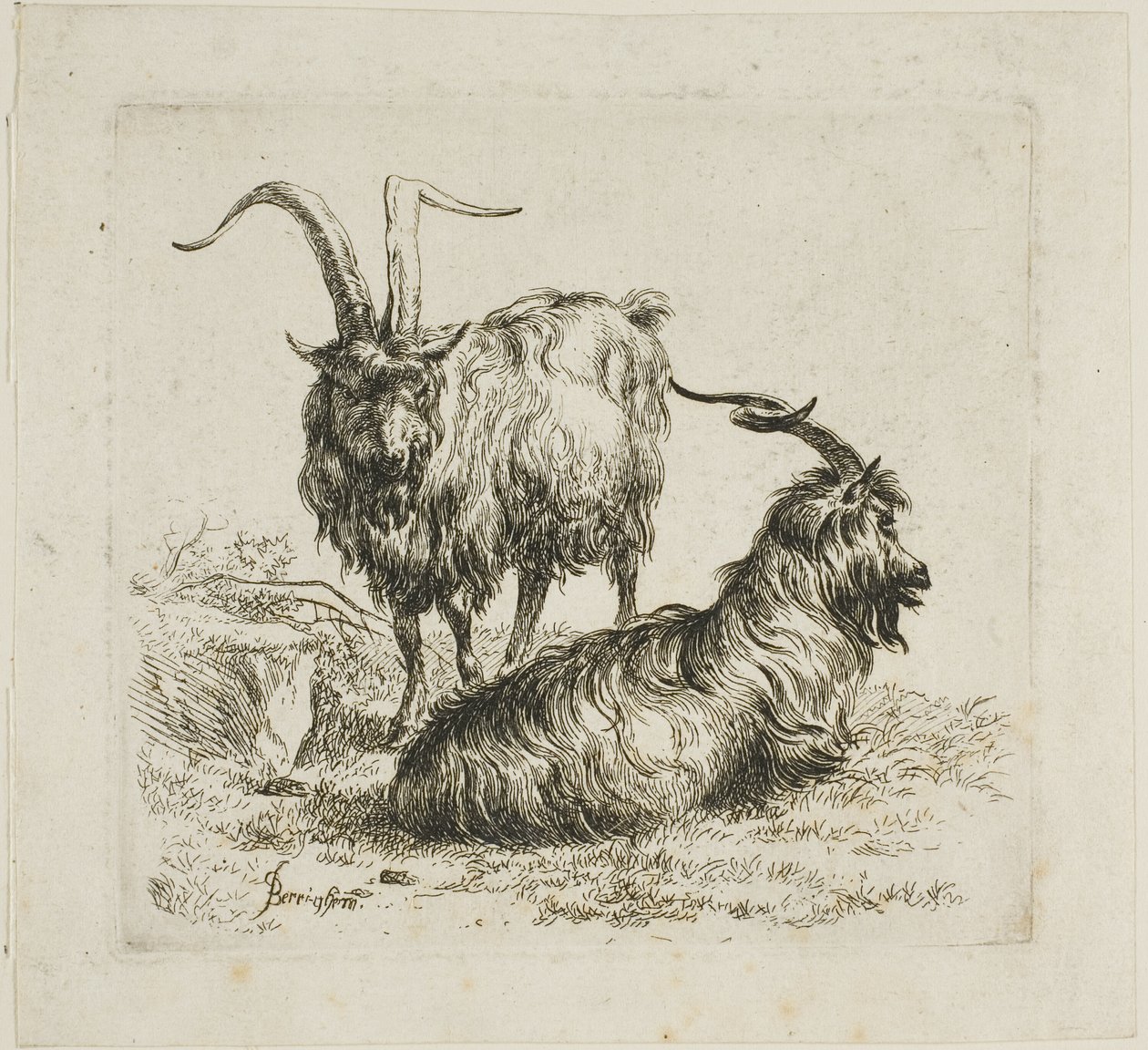 Due capre con grandi corna, da Vari animali da Nicolaes Berchem