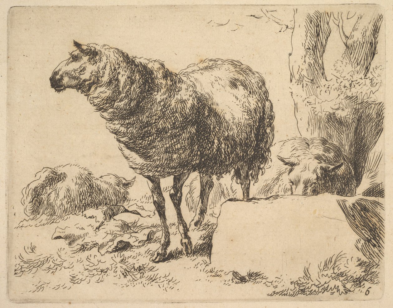 dalla serie di pecore da Nicolaes Berchem