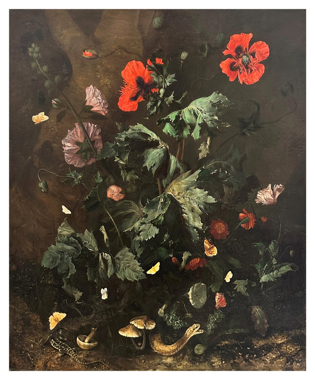 Un bosco con fiori, farfalle e rettili, 1656-1700 circa (olio su tela) da Nicolaes Lachtropius