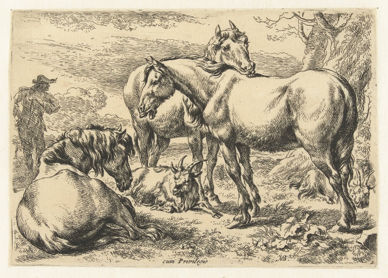 Tre cavalli (titolo della serie: Dieren) da Nicolaes Pietersz Berchem