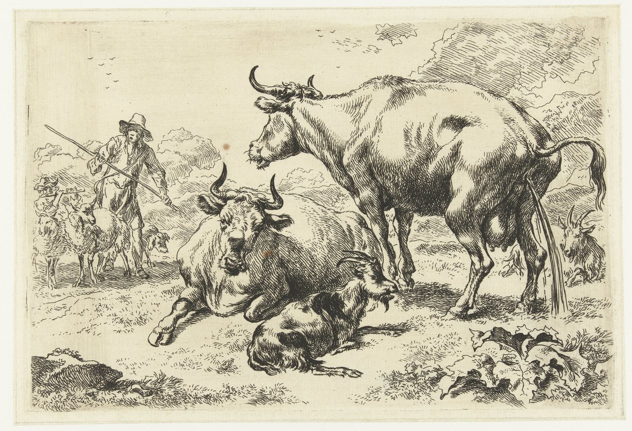 Mucca sdraiata e una mucca che urina da Nicolaes Pietersz Berchem