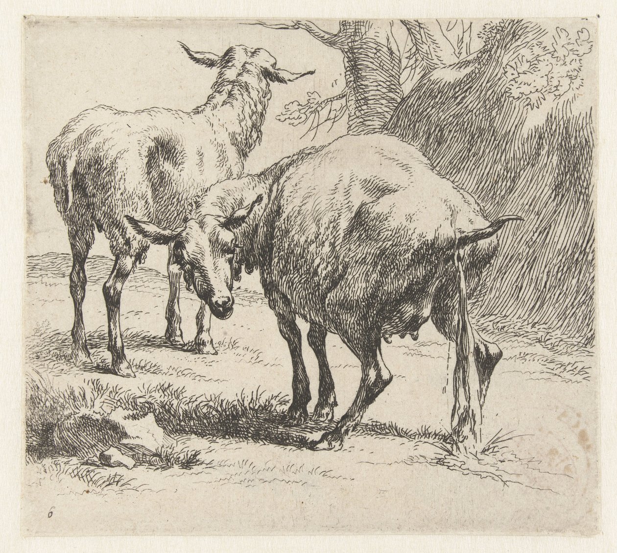 Pecora che urina e una pecora da Nicolaes Pietersz Berchem