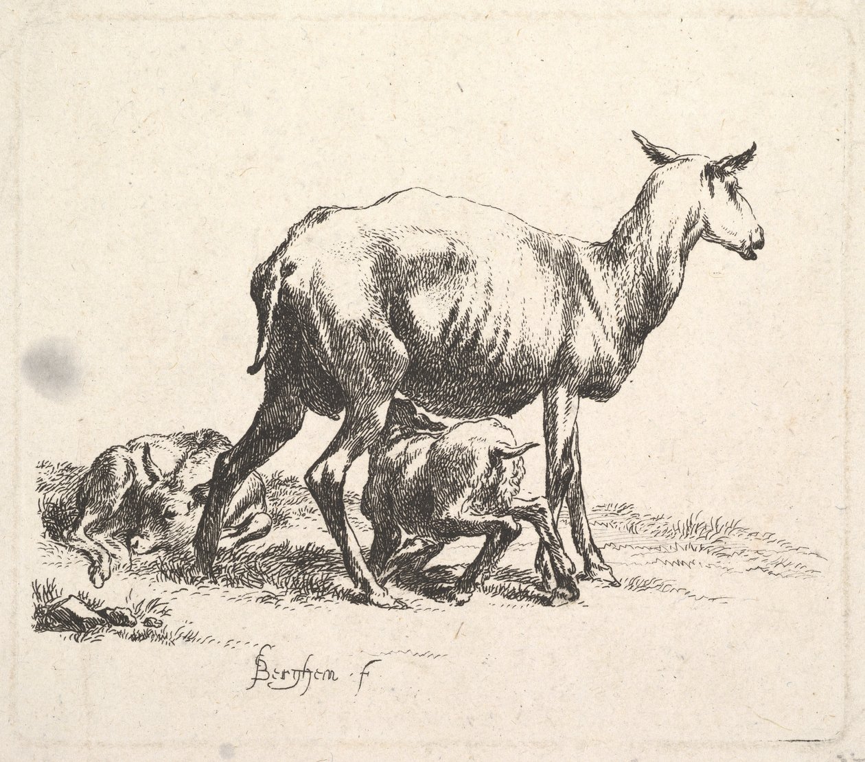 Pecora con agnello che allatta da Nicolaes Pietersz. Berchem