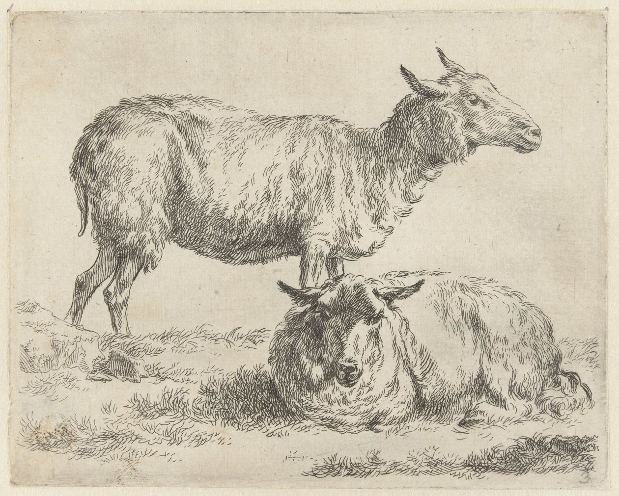 Pecora in piedi e sdraiata da Nicolaes Pietersz Berchem