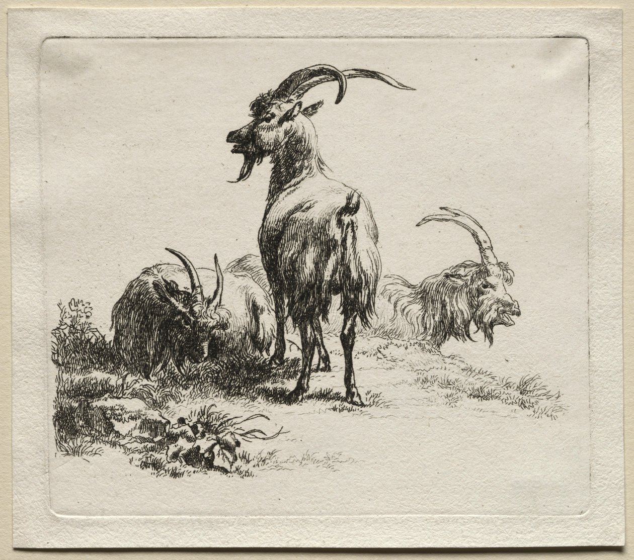 Tre Capre da Nicolaes Pietersz. Berchem