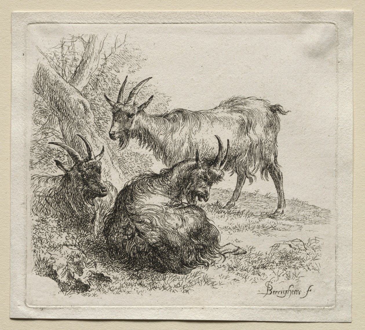 Tre capre da Nicolaes Pietersz. Berchem