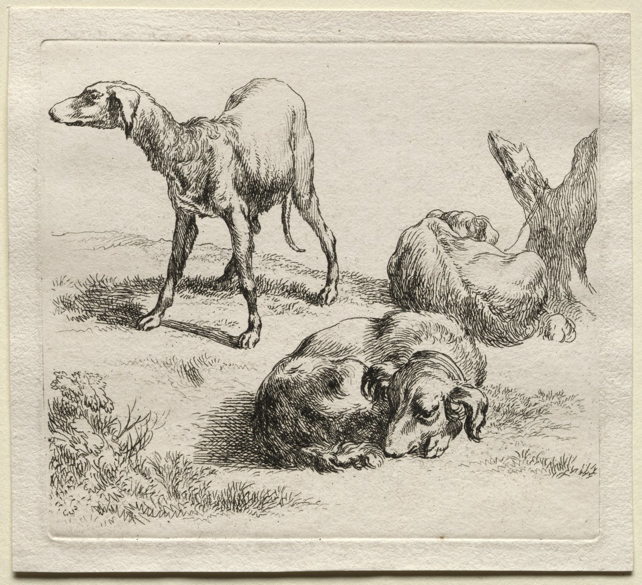 Tre cani da caccia da Nicolaes Pietersz. Berchem