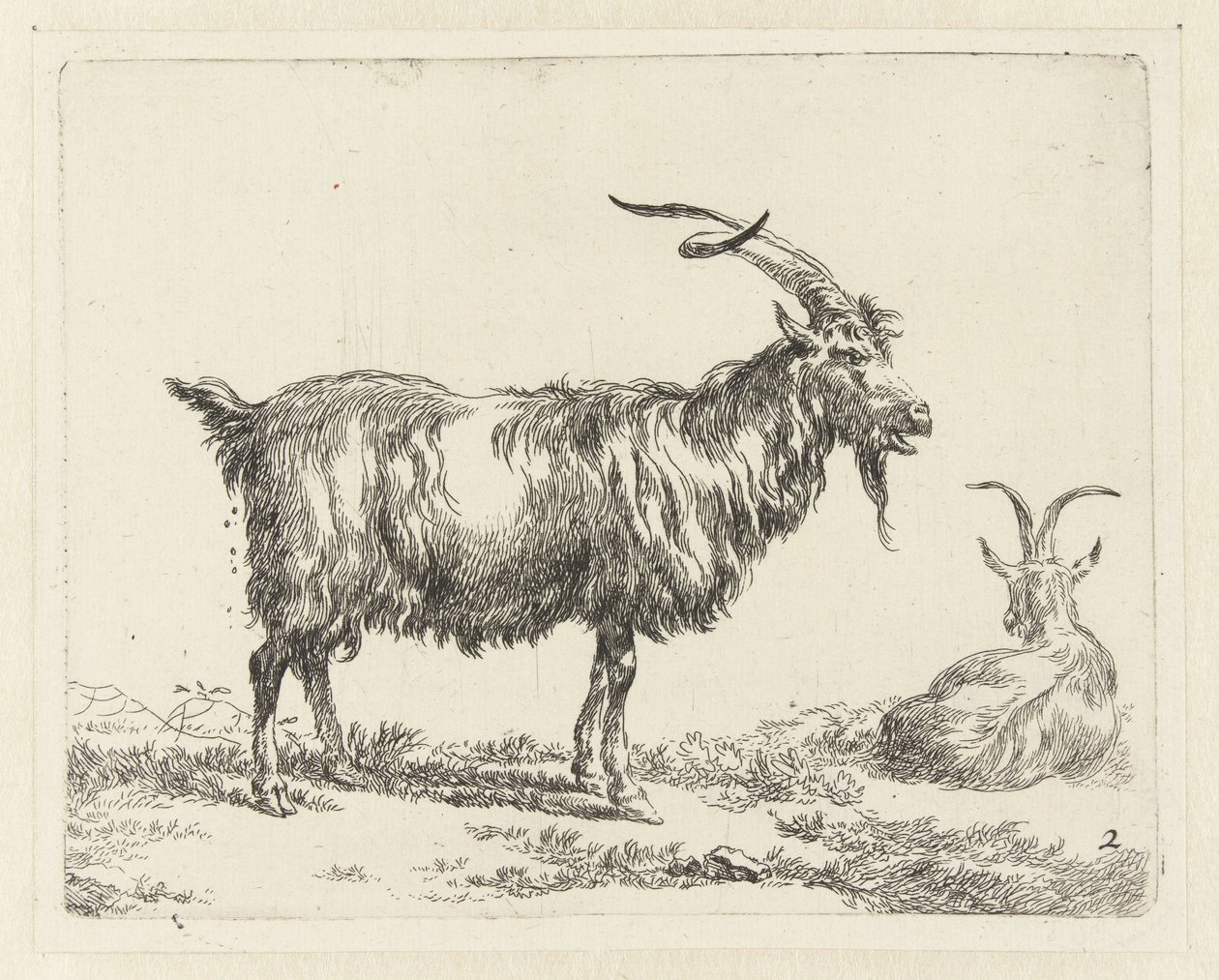 Due capre da Nicolaes Pietersz Berchem