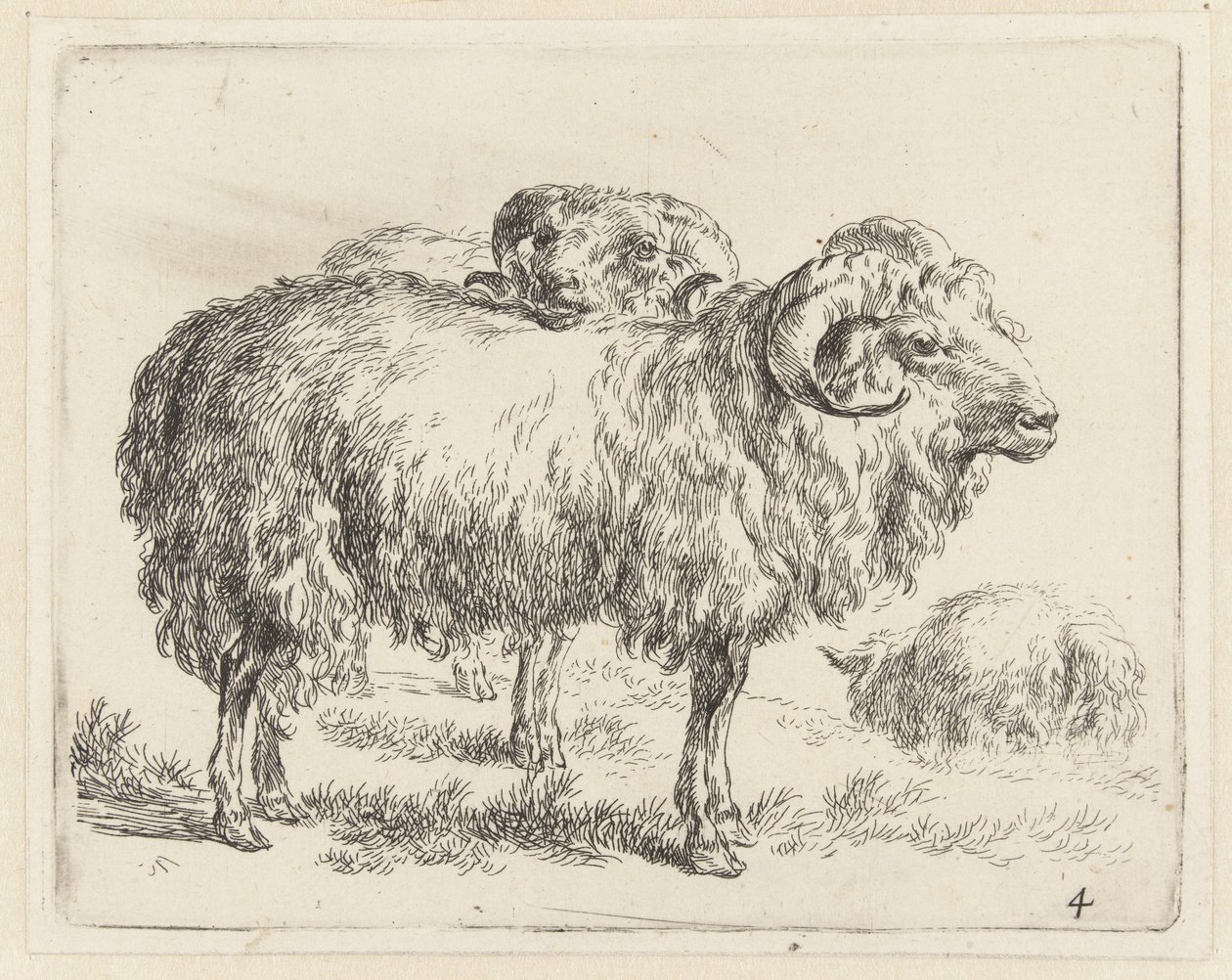 Due montoni e una pecora da Nicolaes Pietersz Berchem