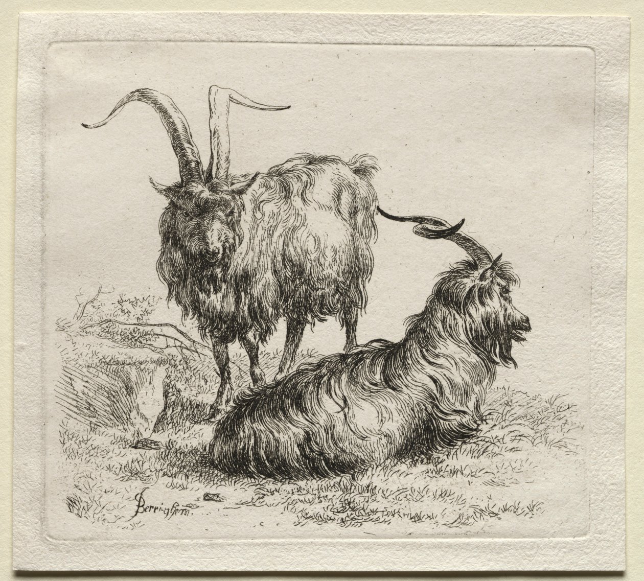 Due capre da Nicolaes Pietersz. Berchem