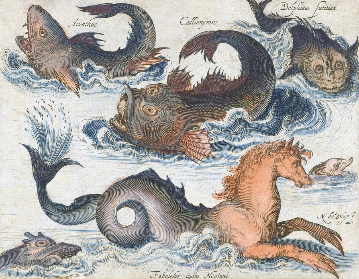 Cavalluccio marino e creature acquatiche immaginarie da Nicolaes de (after) Bruyn