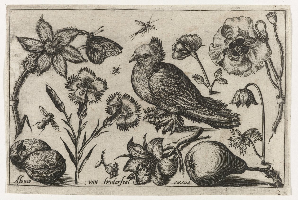 Fiori, una pera e una colomba da Nicolaes de Bruyn (possibly)