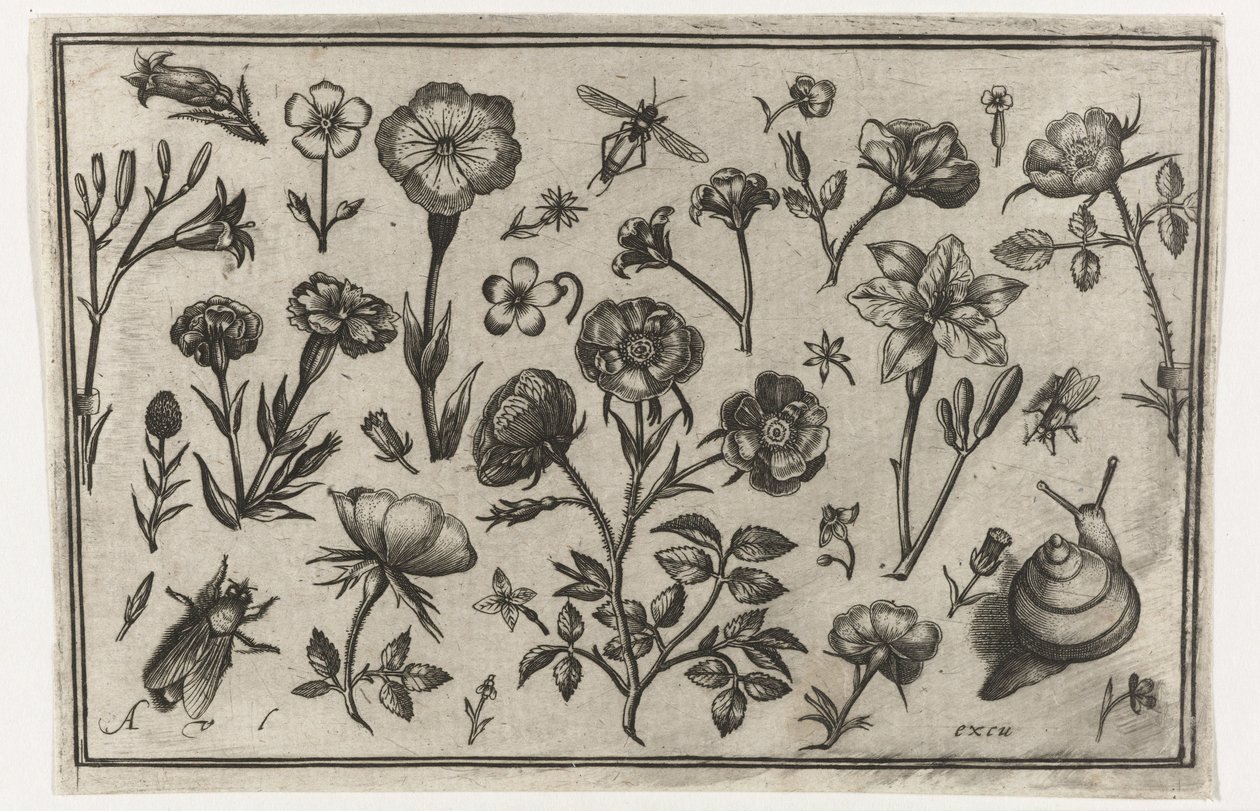 Fiori, una mosca e una lumaca da Nicolaes de Bruyn (possibly)