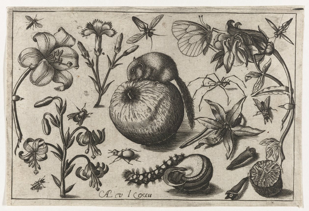 Fiori e un topo su una mela da Nicolaes de Bruyn (possibly)