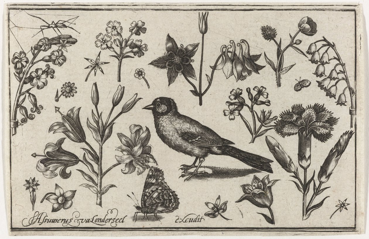 Fiori, farfalla e un uccello da Nicolaes de Bruyn (possibly)
