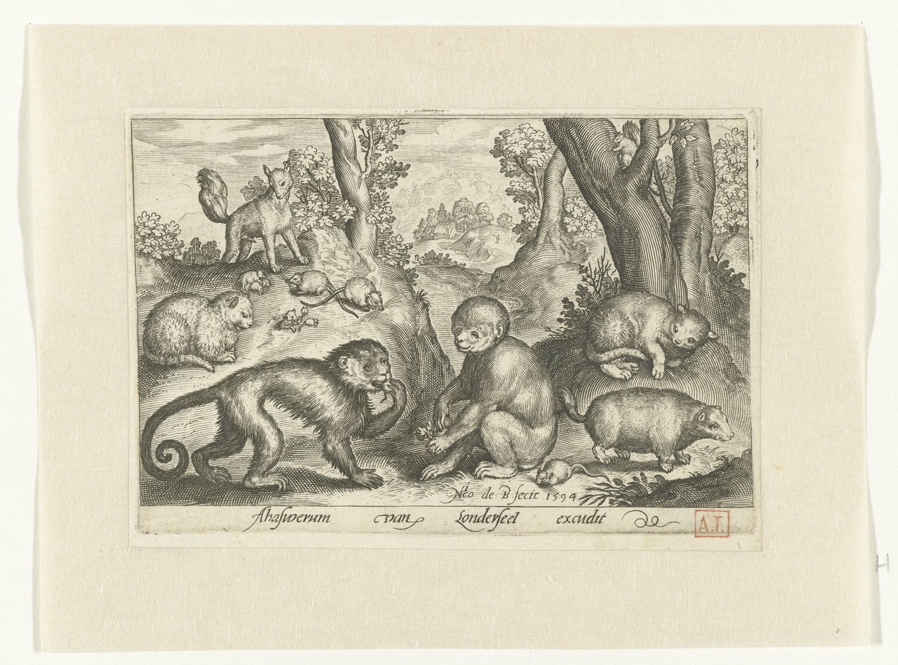 Scimmie, gatti e topi da Nicolaes de Bruyn