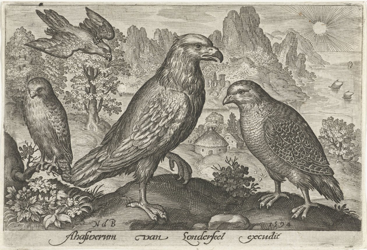Aquila e altri rapaci da Nicolaes de Bruyn