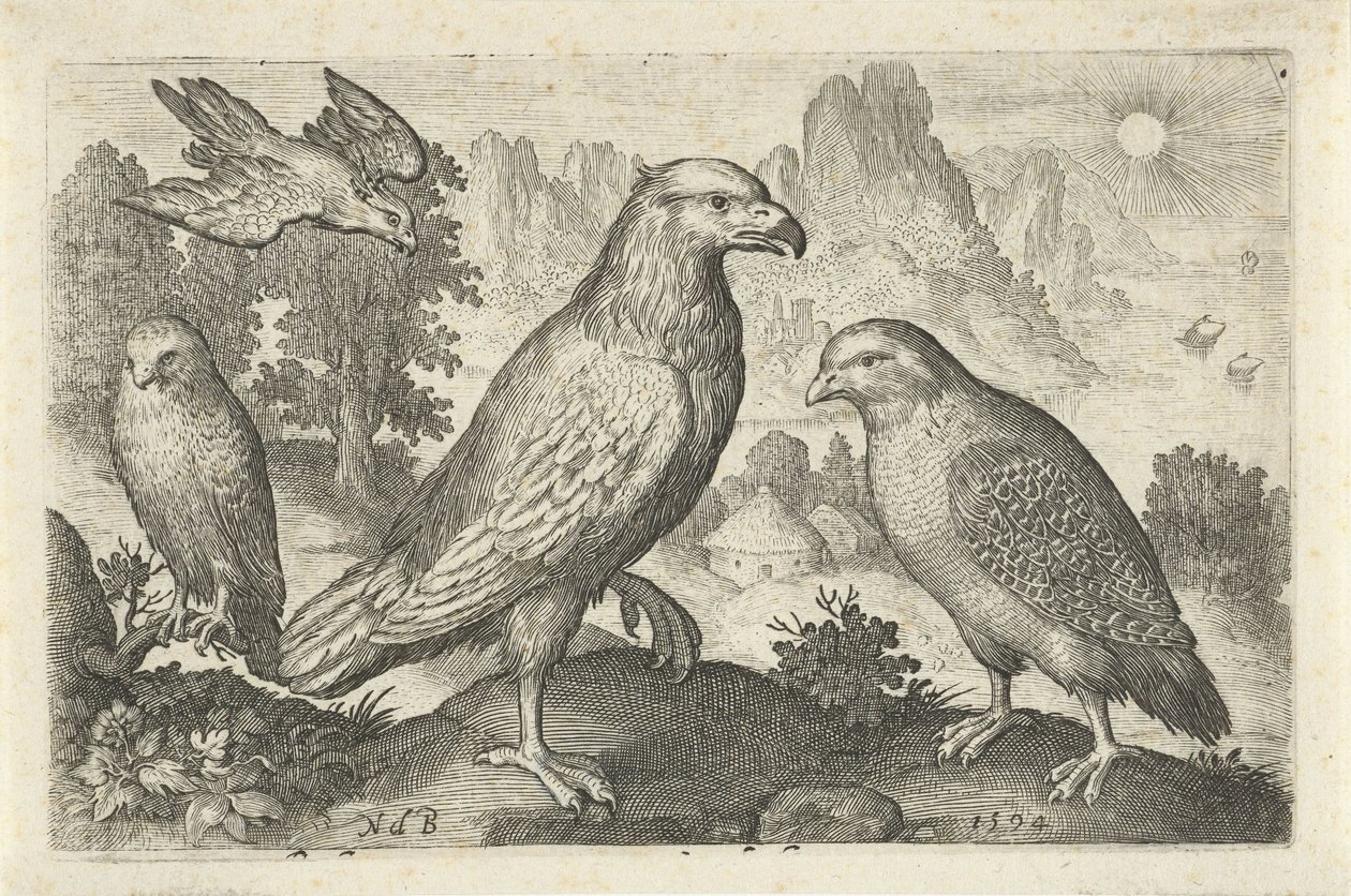 Aquila e altri rapaci da Nicolaes de Bruyn
