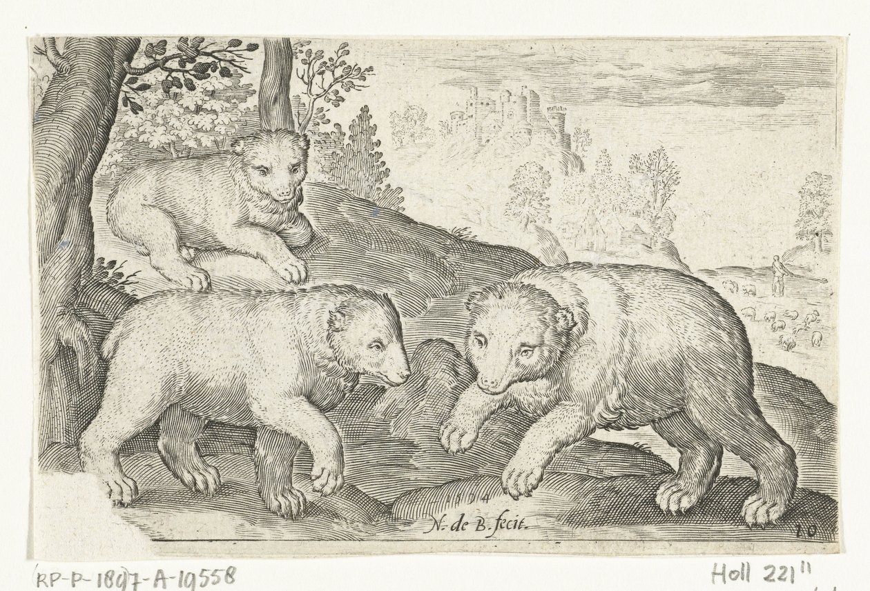 Tre orsi (serie: Animali quadrupedi) da Nicolaes de Bruyn