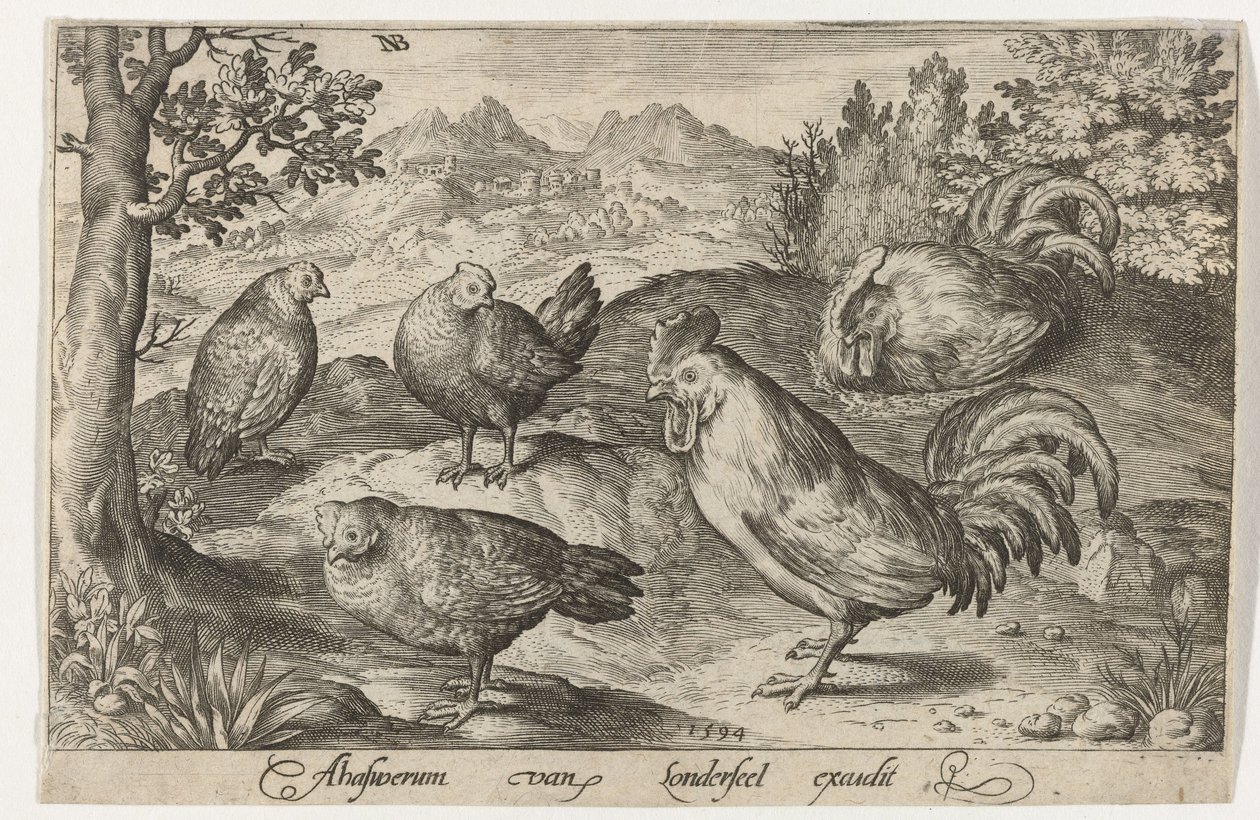 Tre galline e due galli. Uccelli e insetti (titolo della serie) da Nicolaes de Bruyn