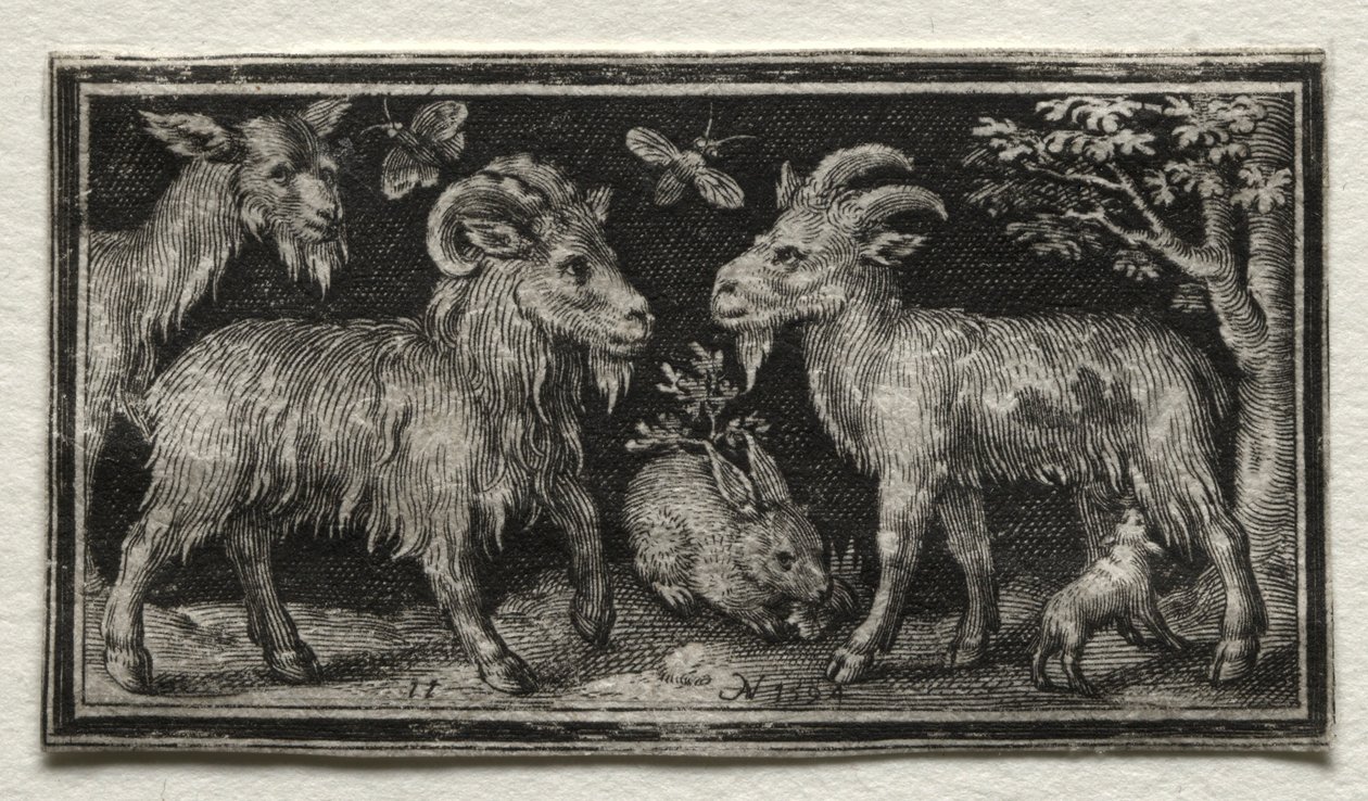Capre e lepre, 1594 da Nicolaes de Bruyn