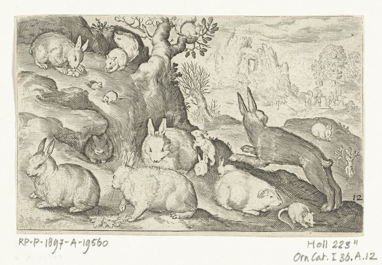 Conigli, scoiattolo, cavia e topo (serie: Animali quadrupedi) (serie: Animali nei paesaggi) da Nicolaes de Bruyn