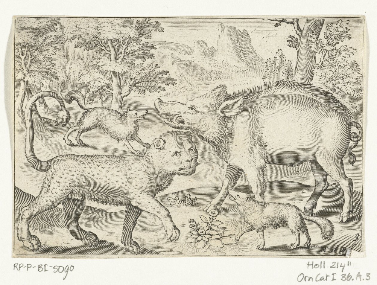 Leopardo, cinghiale e cani da Nicolaes de Bruyn