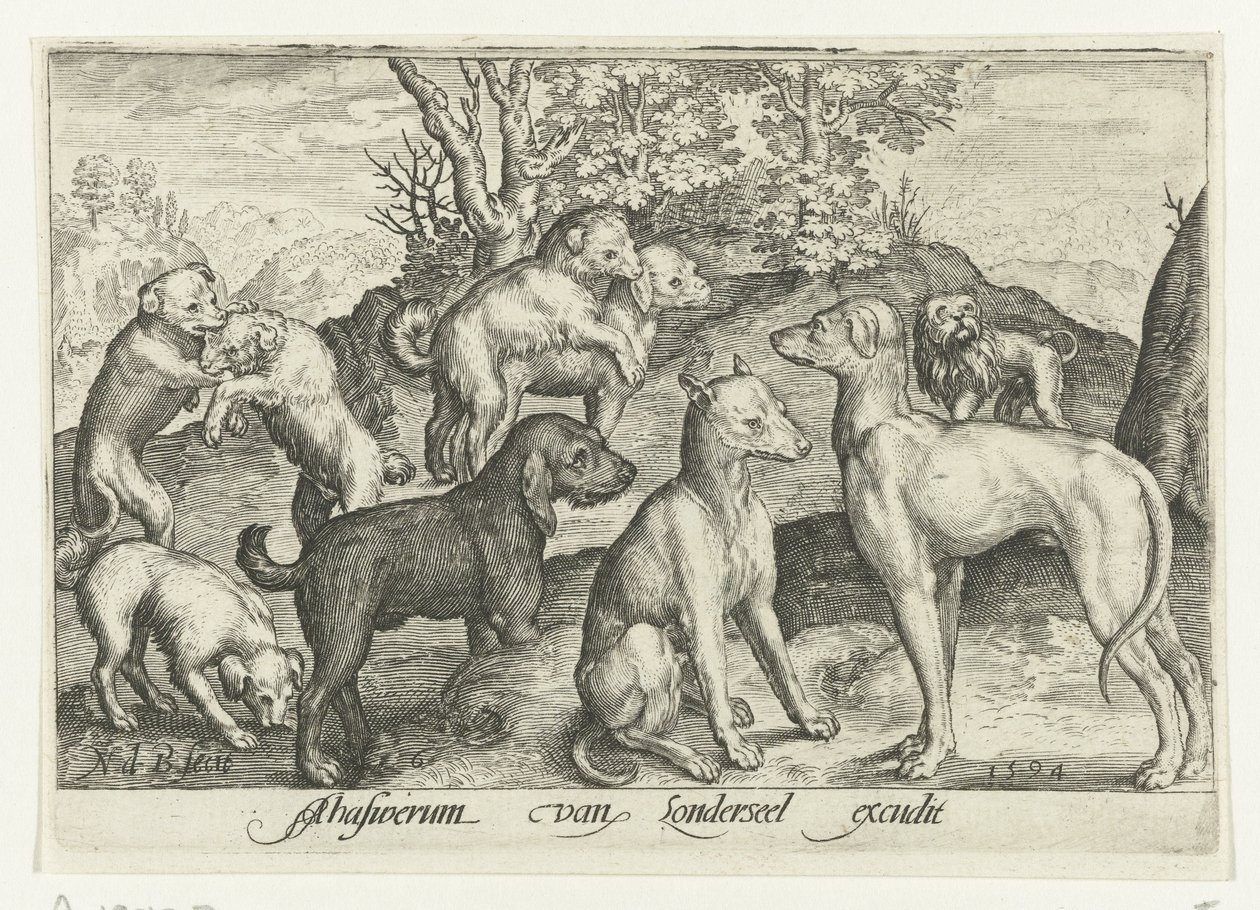 Nove cani da Nicolaes de Bruyn