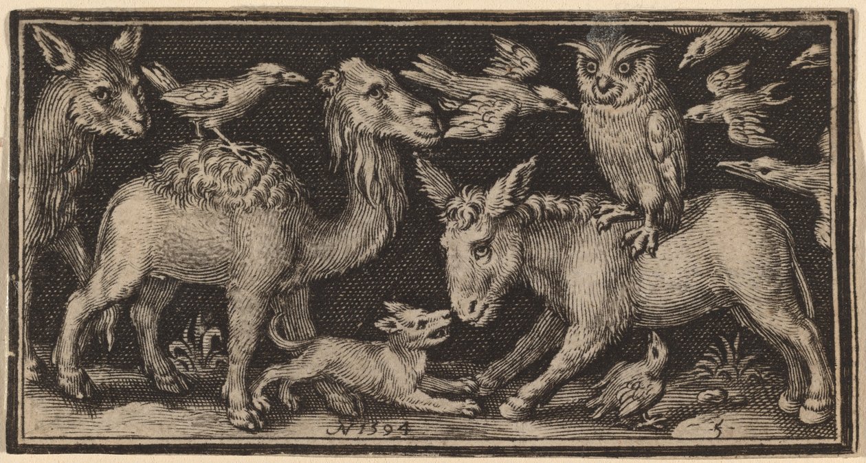Gufo sulla schiena dell