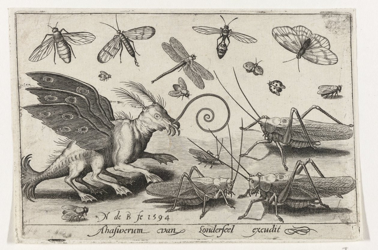 Cavallette e creatura fantastica con ali e membrane natatorie da Nicolaes de Bruyn