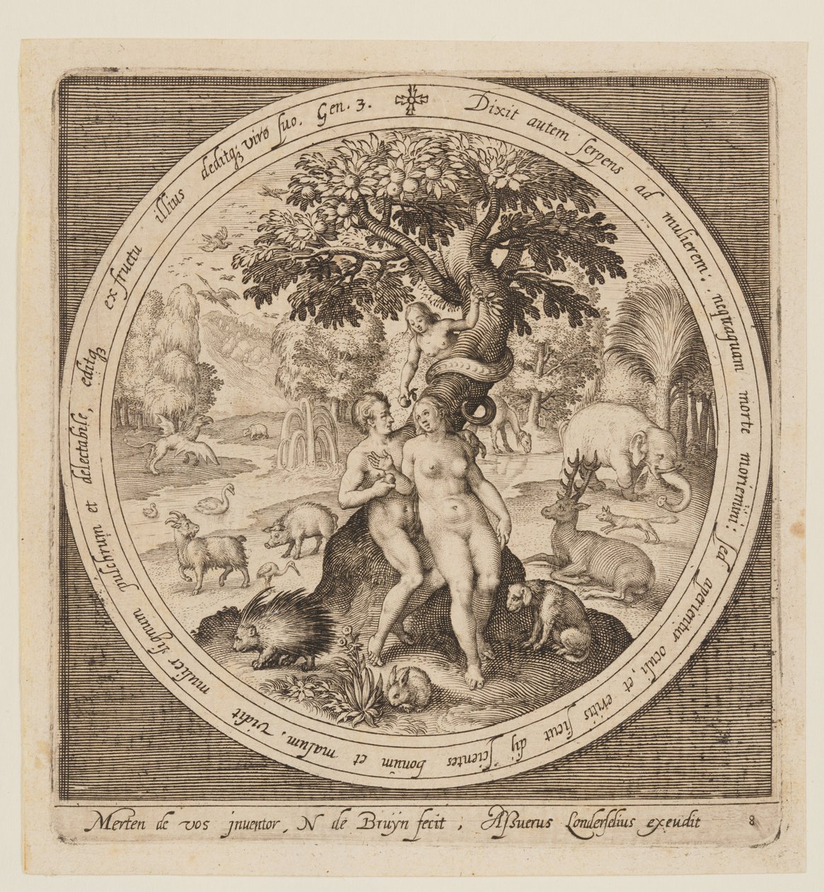 La tentazione di Eva, dalla creazione alla cacciata dal paradiso da Nicolaes de Bruyn