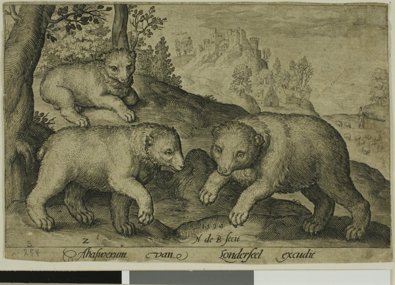 Tre orsi, tavola dieci da Animali a quattro zampe da Nicolaes de Bruyn