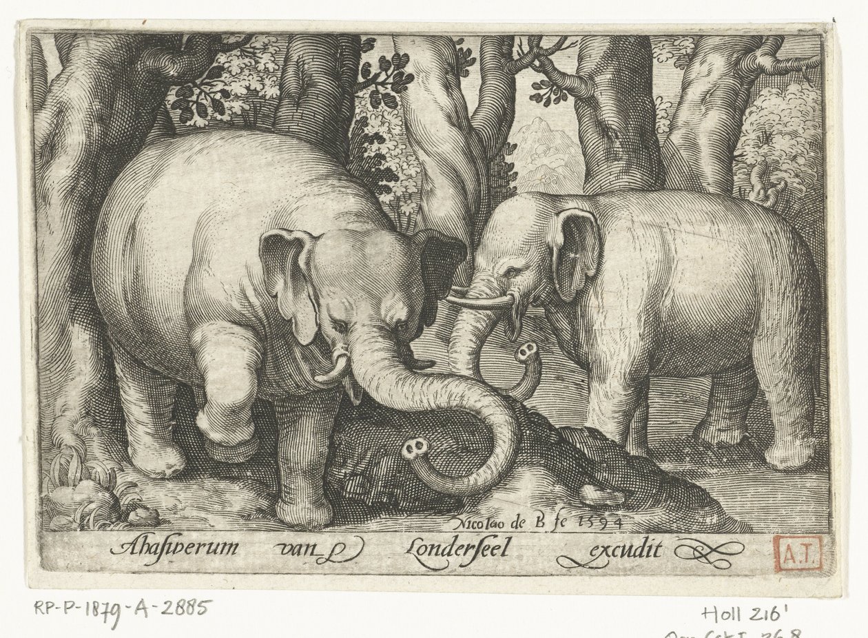 Due elefanti, Animalivm qvadrvpedvm (titolo della serie), Animali in paesaggi (titolo della serie) da Nicolaes de Bruyn