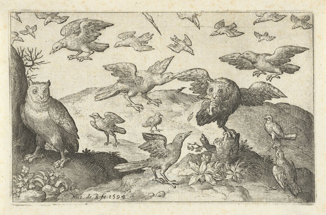 Gufo con preda assalito da altri uccelli (Uccelli e insetti) da Nicolaes de Bruyn