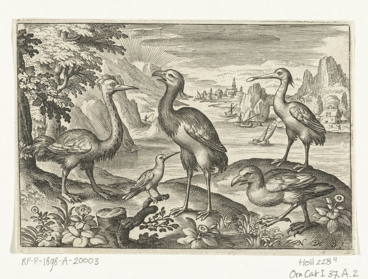 Cinque uccelli tra cui un ibis da Nicolaes de Bruyn