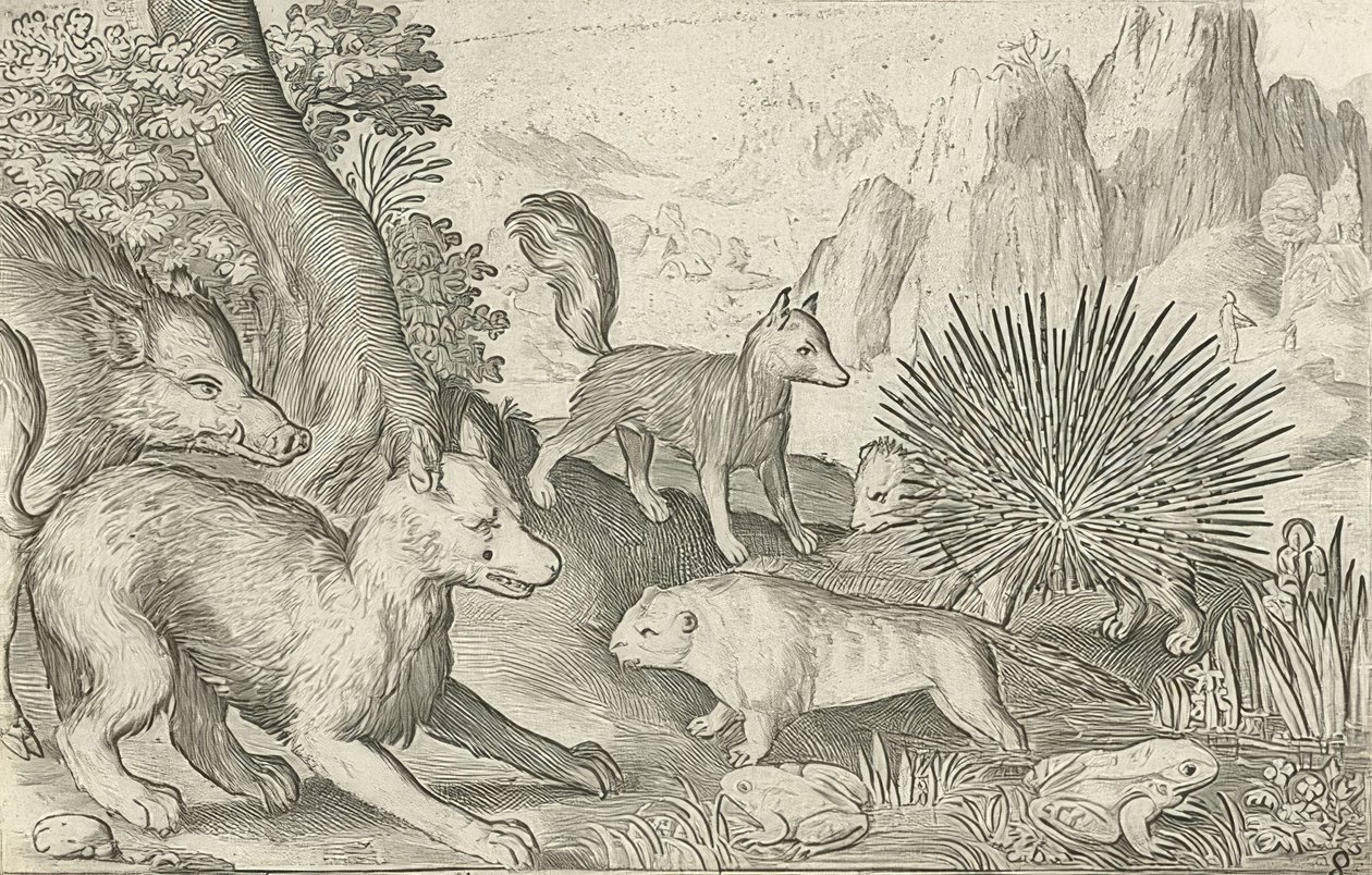 Cinghiale, volpi, castori, porcospino e rane da Nicolaes de Bruyn