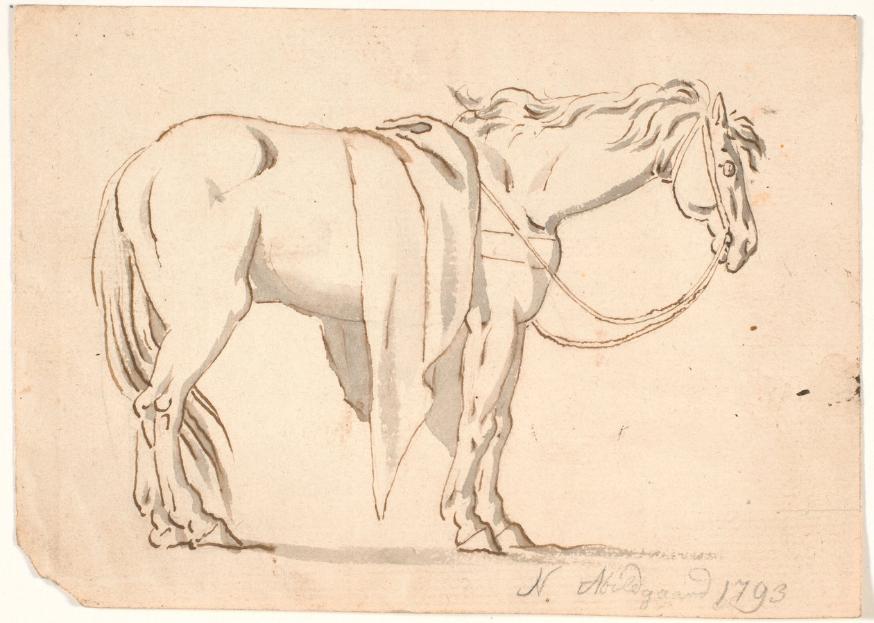 Un cavallo con coperta da Nicolai Abildgaard